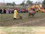 Bóng đá anh, ngoại hạng anh, lịch thi đấu euro 2012, TS. Bùi Quang Thắng: Lễ hội truyền thống - không hề phong phú!